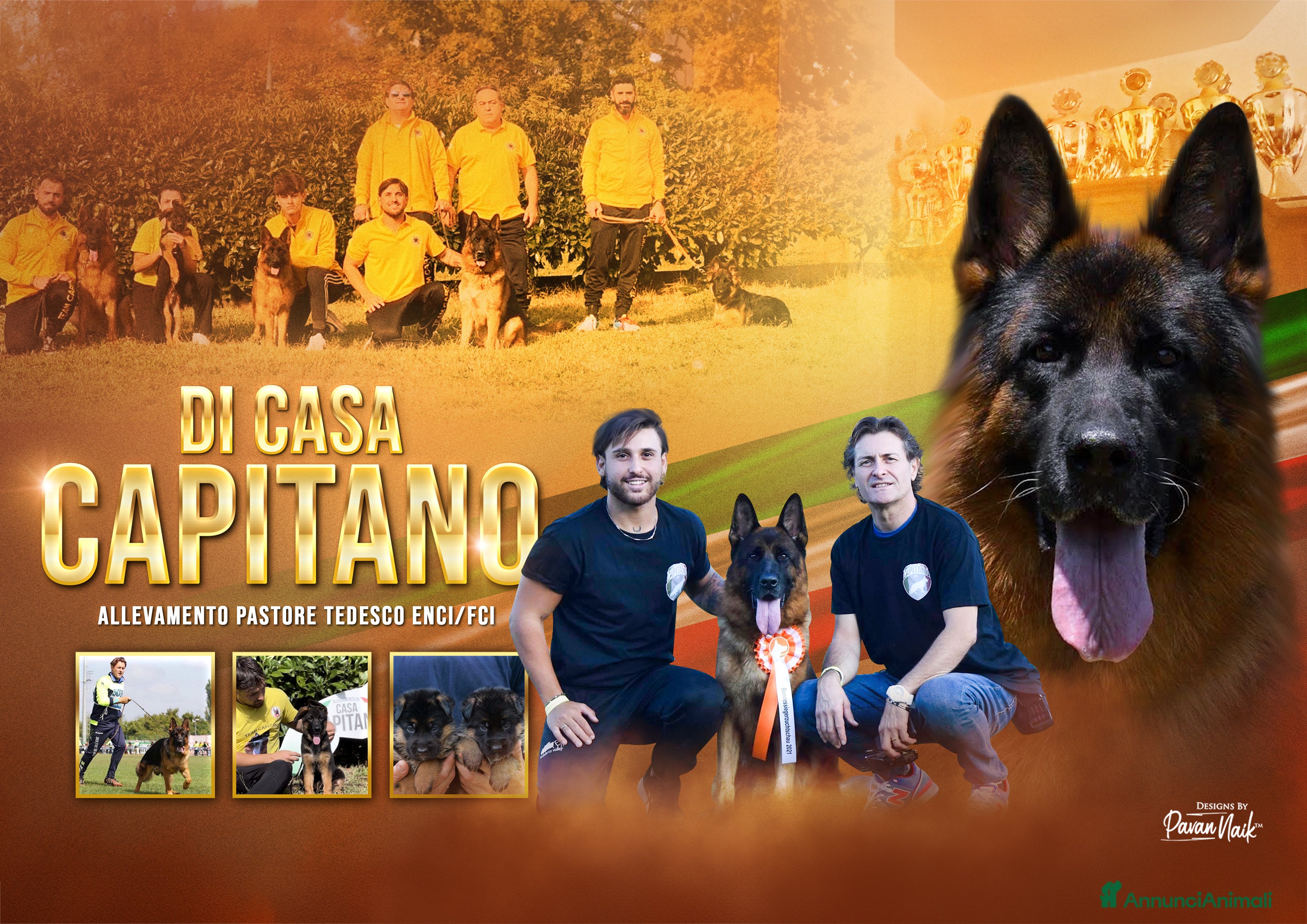 Pastore Tedesco cani Cuccioli di pastore tedesco allevamento ENCI a Provincia di Cosenza - Annuncio 1