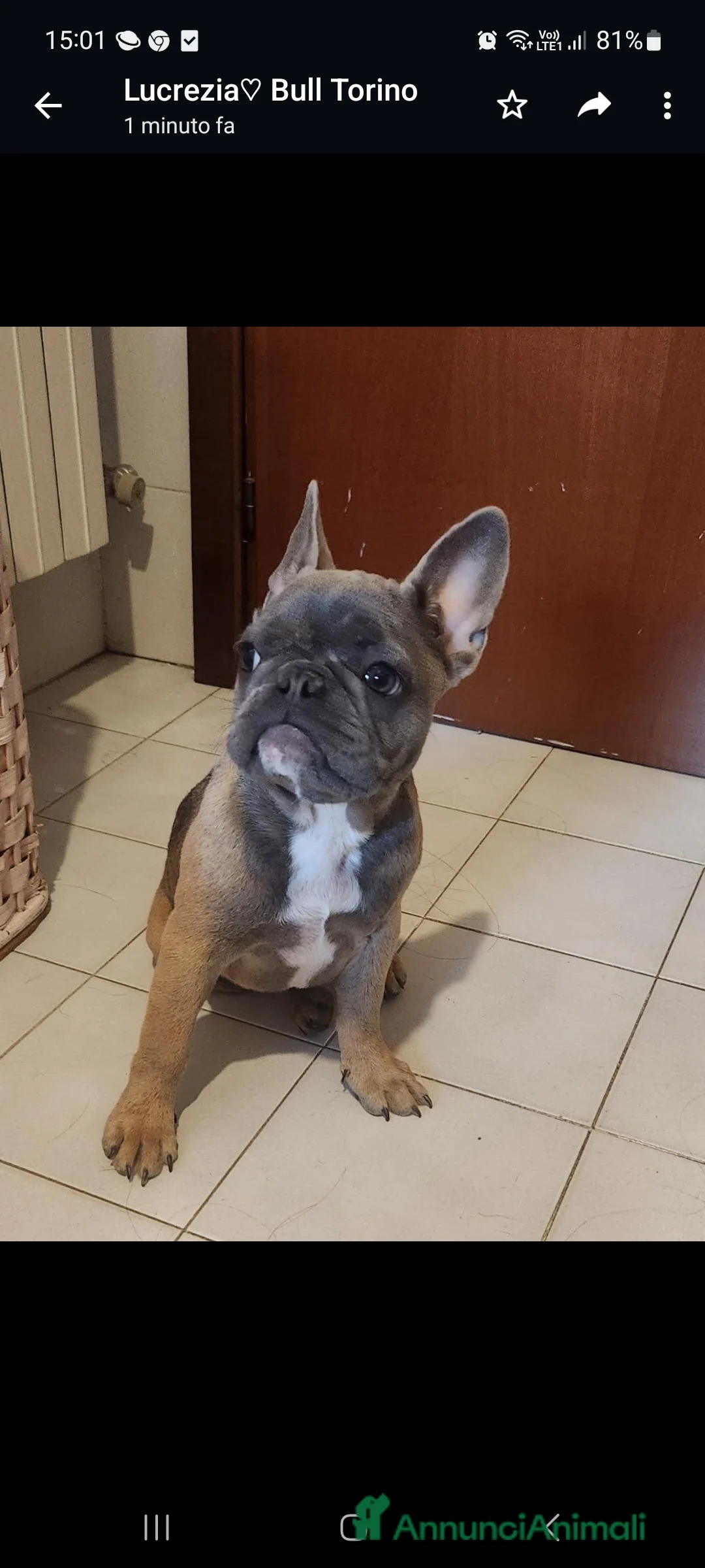 Immagine della galleria {{count}}