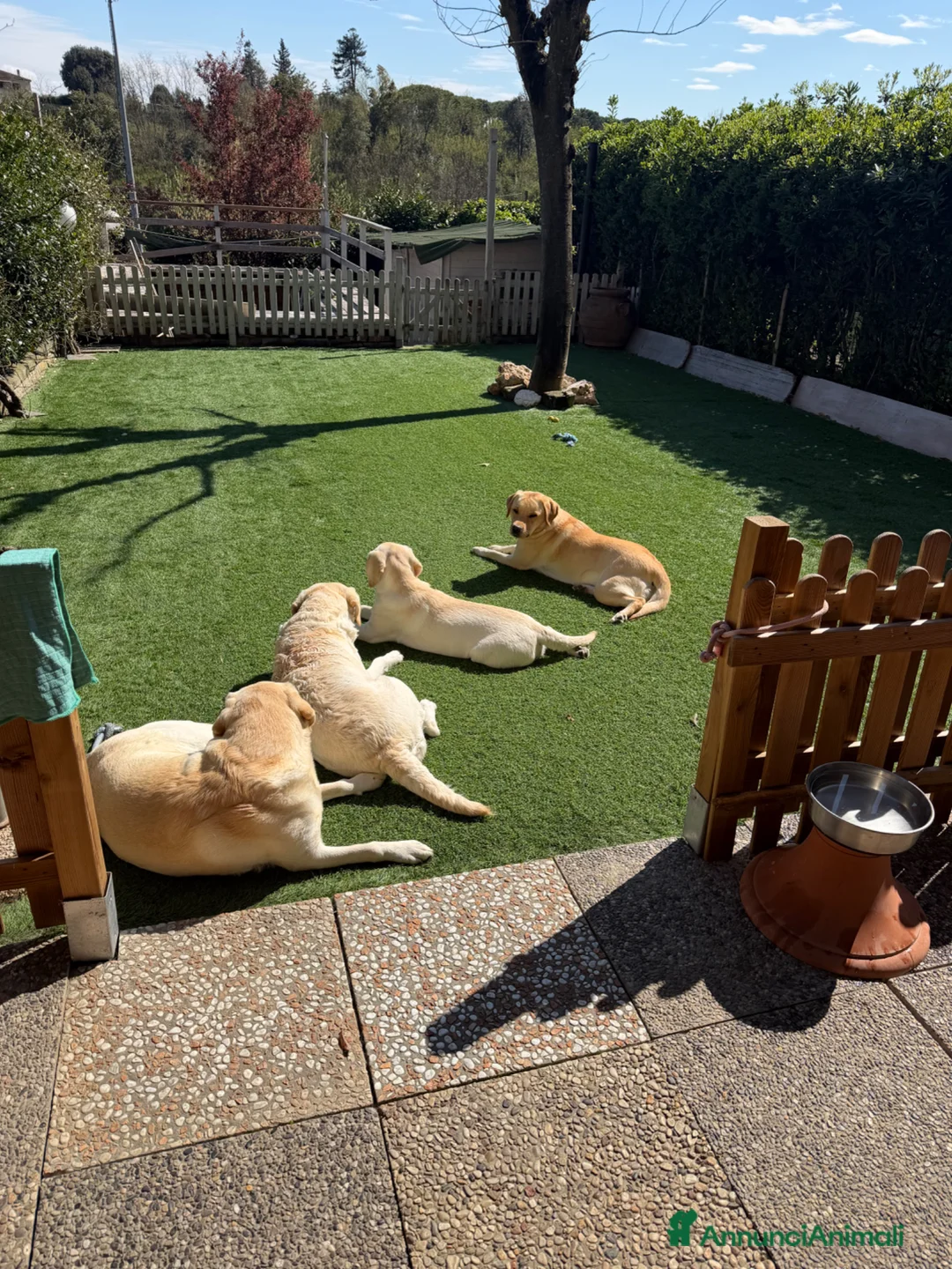 Immagine della galleria {{count}}