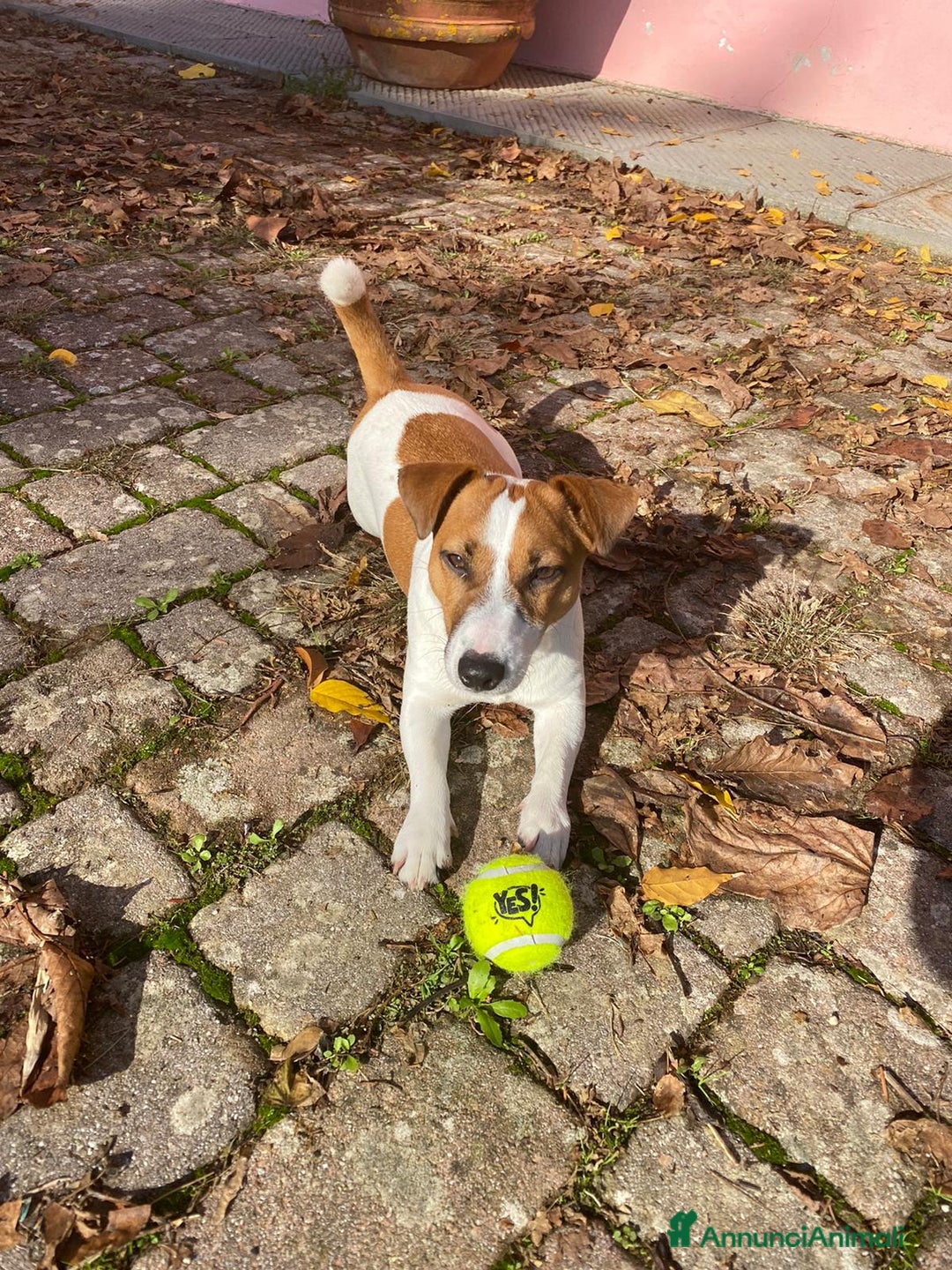 Immagine della galleria {{count}}