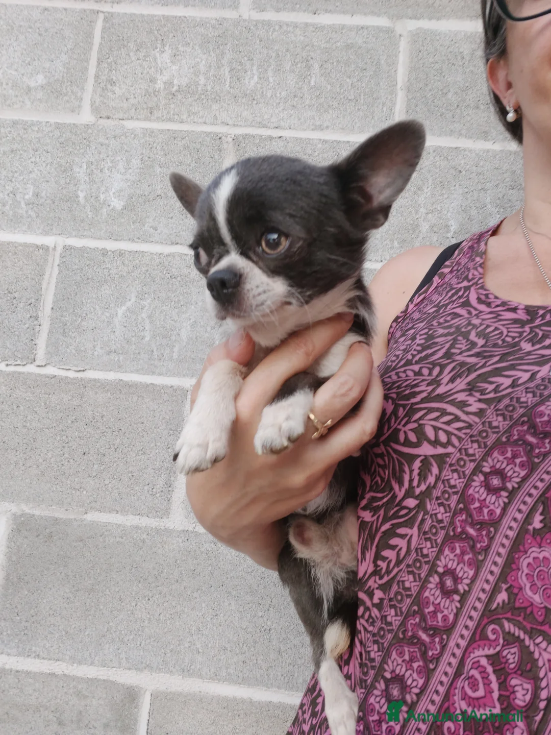 Immagine della galleria {{count}}