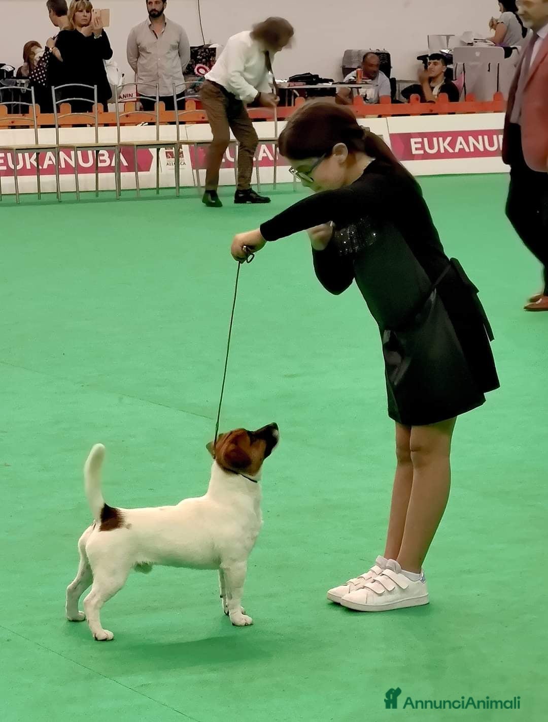 Immagine della galleria {{count}}