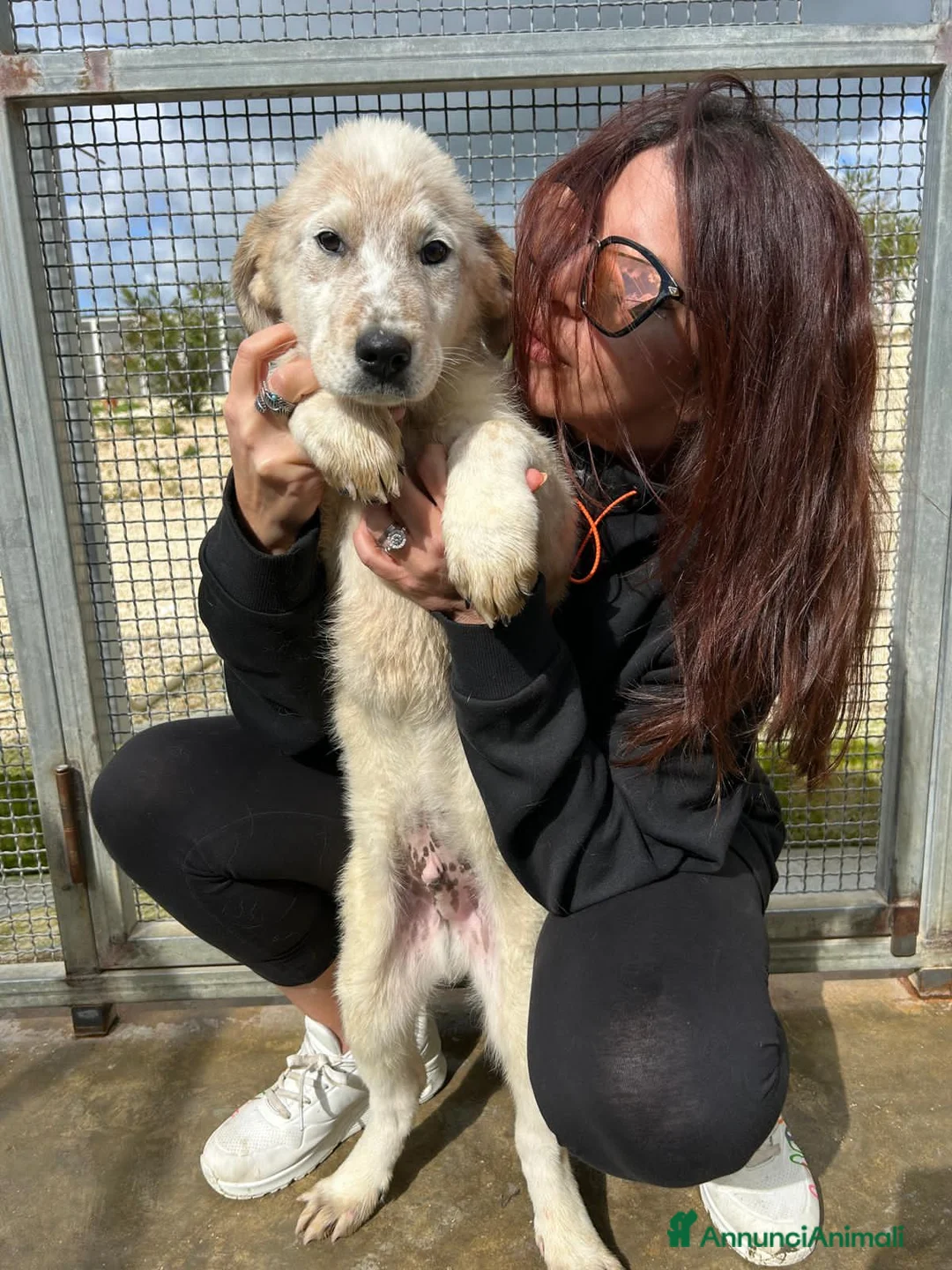 Altre razze cani in regalo: CLELIA CESARE CONAN - Annuncio 2