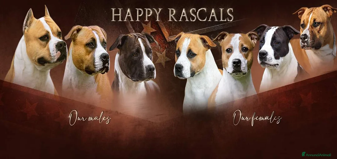 Immagine della galleria {{count}}