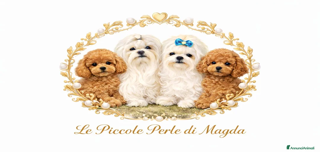 Immagine della galleria {{count}}