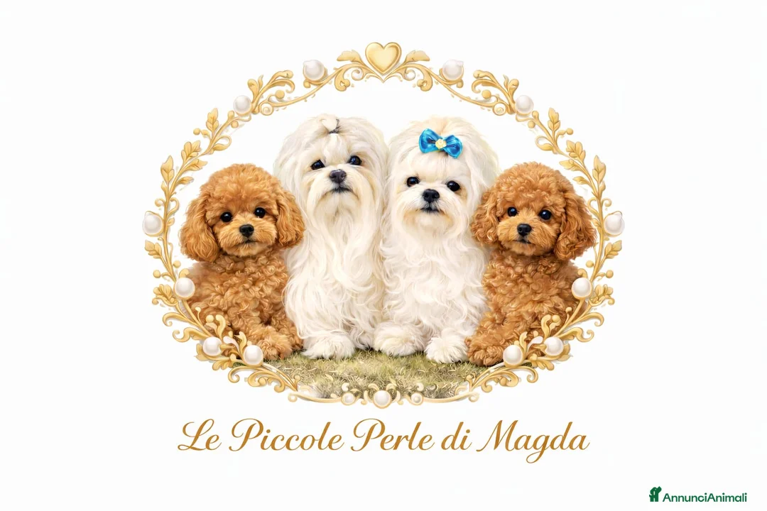 Immagine della galleria {{count}}