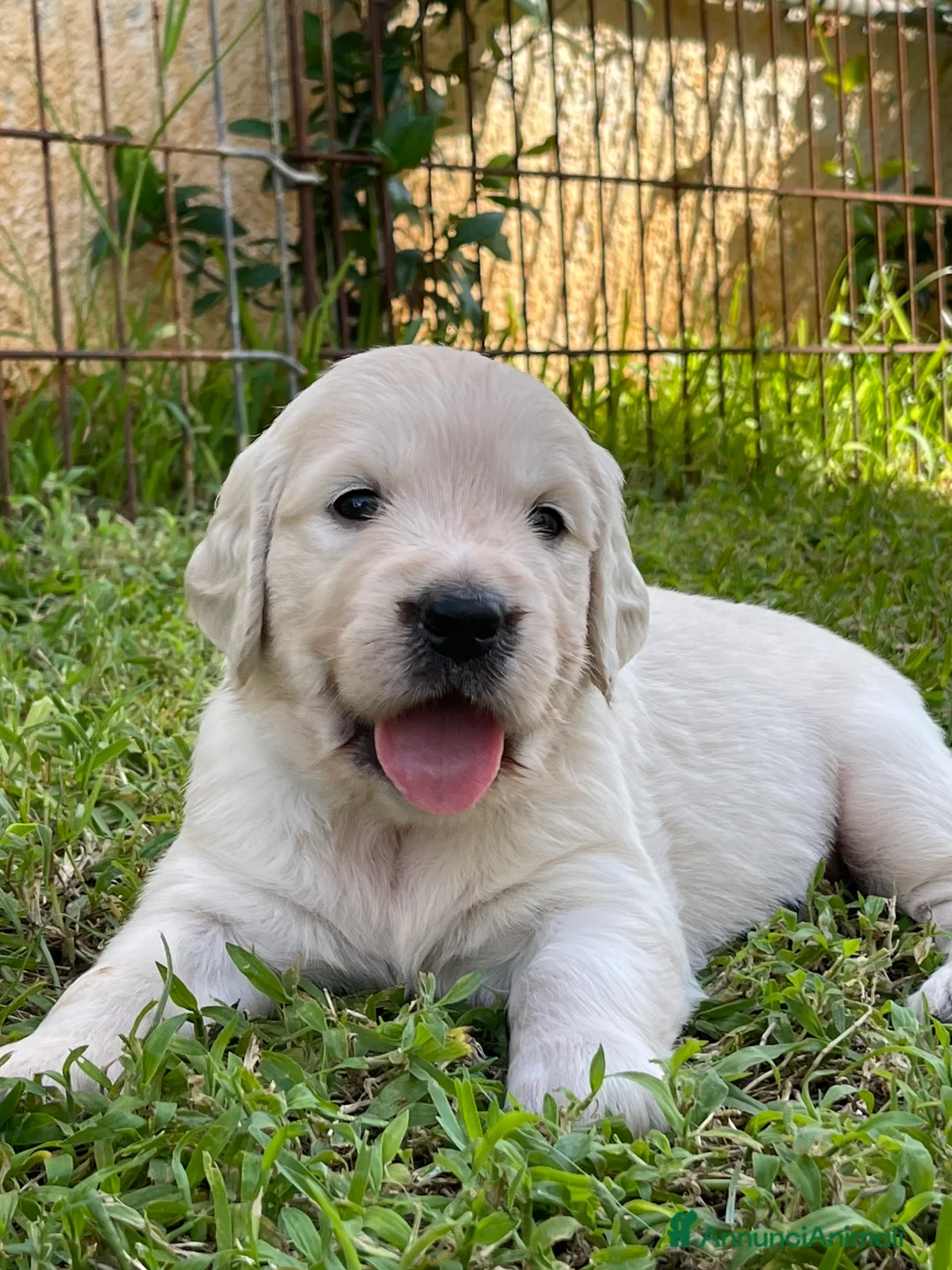 Immagine della galleria {{count}}