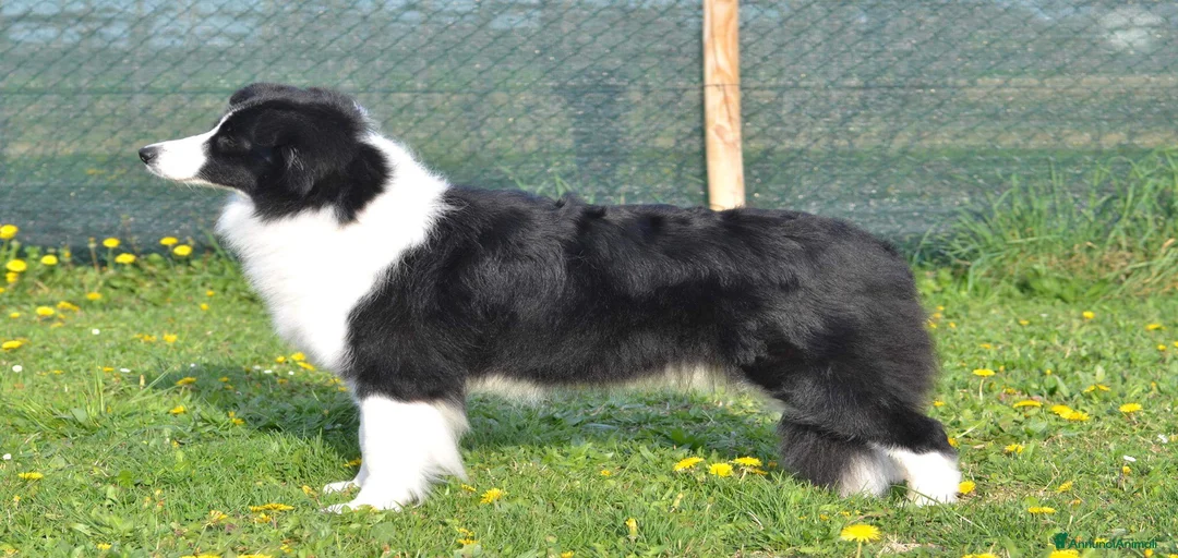 Immagine della galleria {{count}}