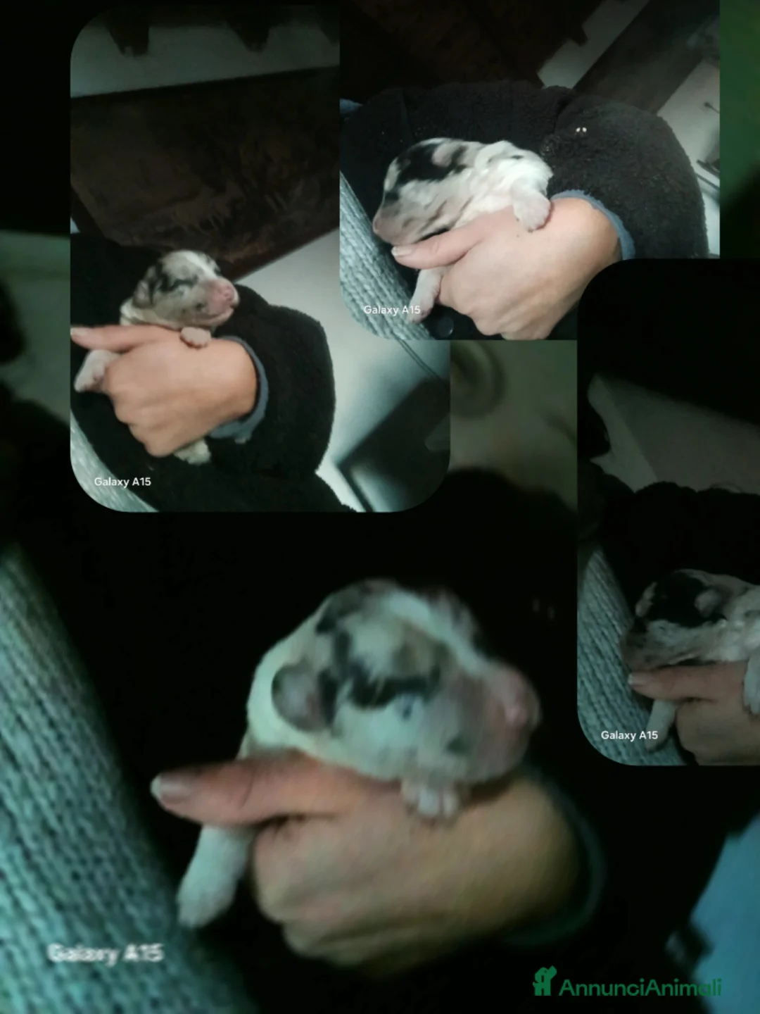 Immagine della galleria {{count}}