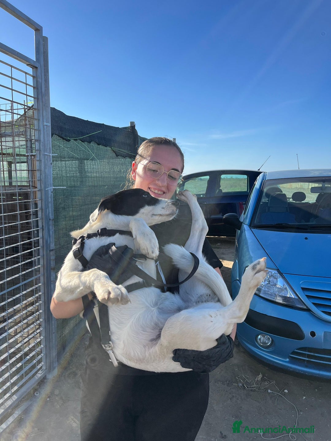 Altre razze cani in regalo: Chloe - 6 mesi - Dolce e Affettuosa - Annuncio 6