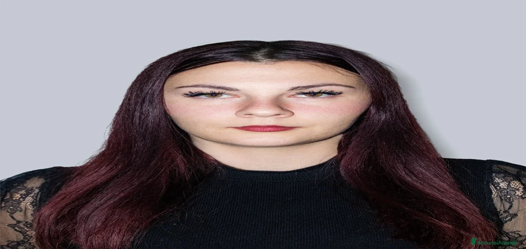 Immagine della galleria {{count}}