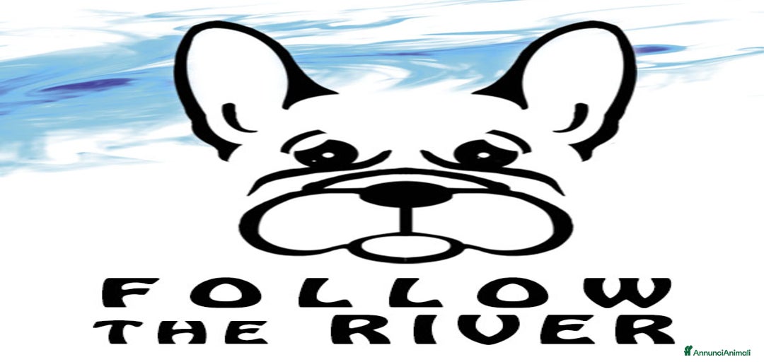 Immagine della galleria {{count}}