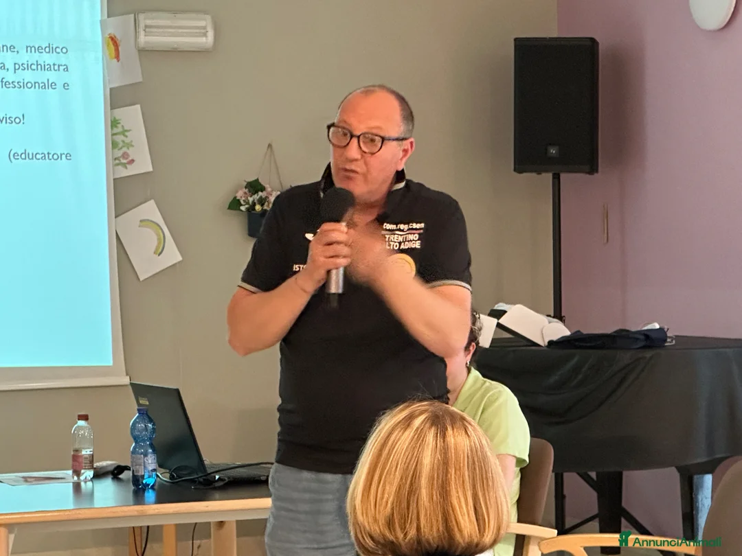 Immagine della galleria {{count}}