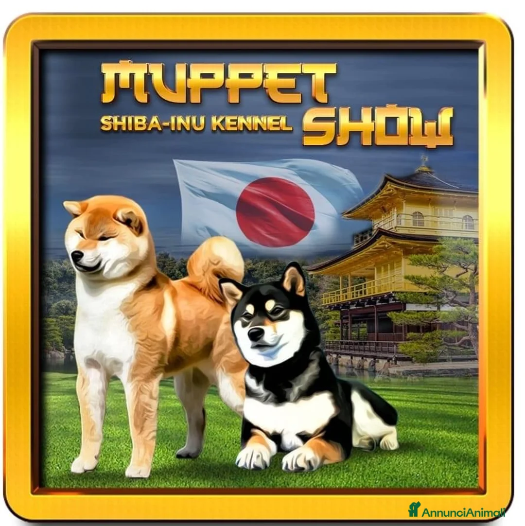 Immagine della galleria {{count}}