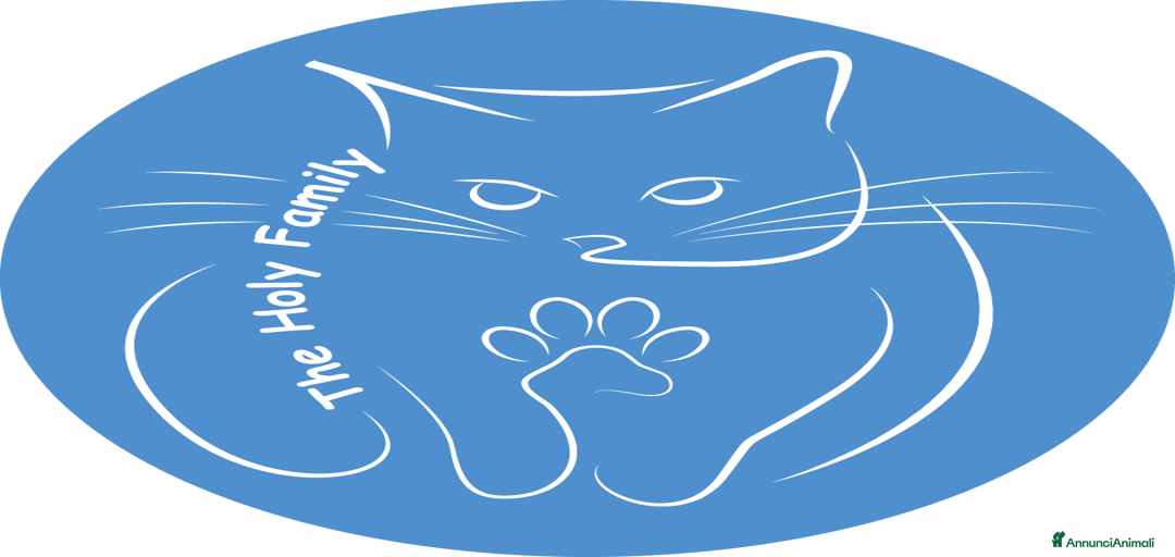 Immagine della galleria {{count}}