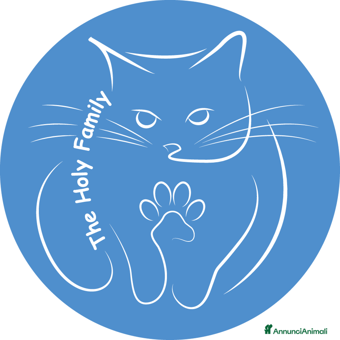 Immagine della galleria {{count}}