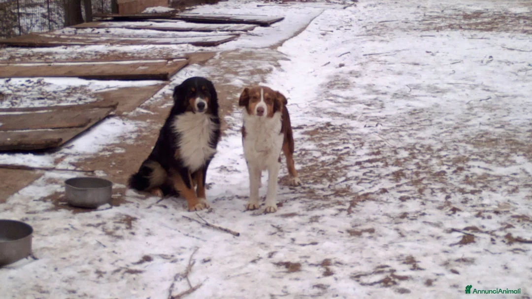 Immagine della galleria {{count}}