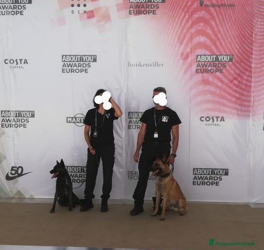 Immagine della galleria {{count}}