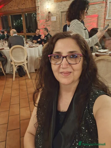 Immagine della galleria {{count}}