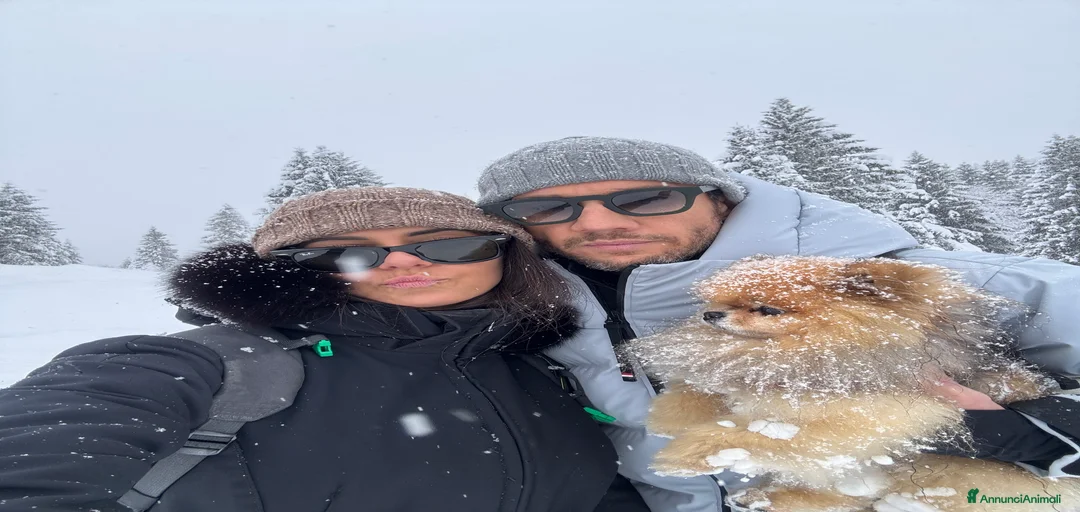 Immagine della galleria {{count}}