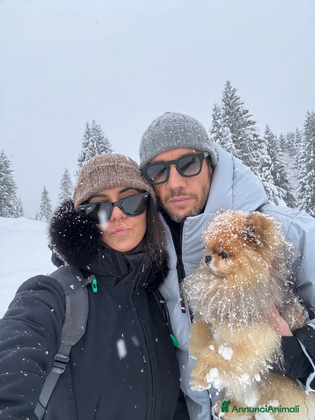 Immagine della galleria {{count}}