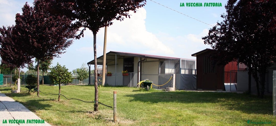 Immagine della galleria {{count}}