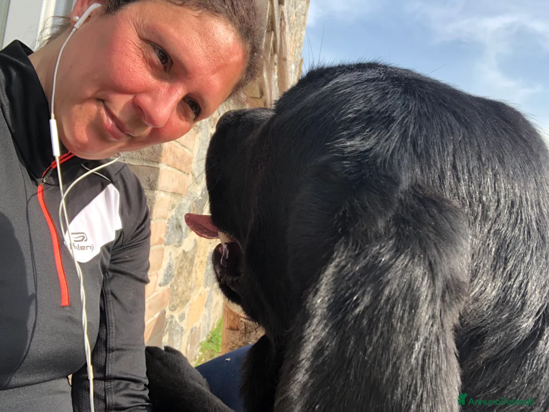 Immagine della galleria {{count}}