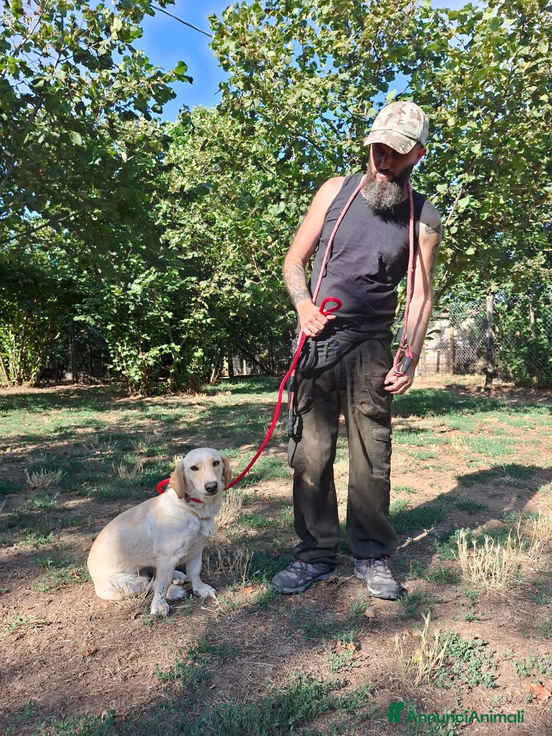 Meticcio cani in regalo: RAMONA STA ASPETTANDO UNA CASA E TANTO AMORE - Annuncio 4