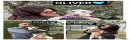 Altre razze cani in regalo: OLIVER BRUCE MARK - Annuncio 1