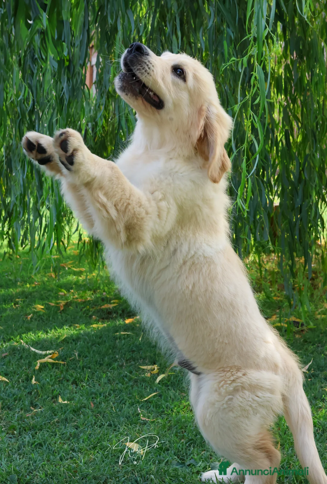 Immagine della galleria {{count}}