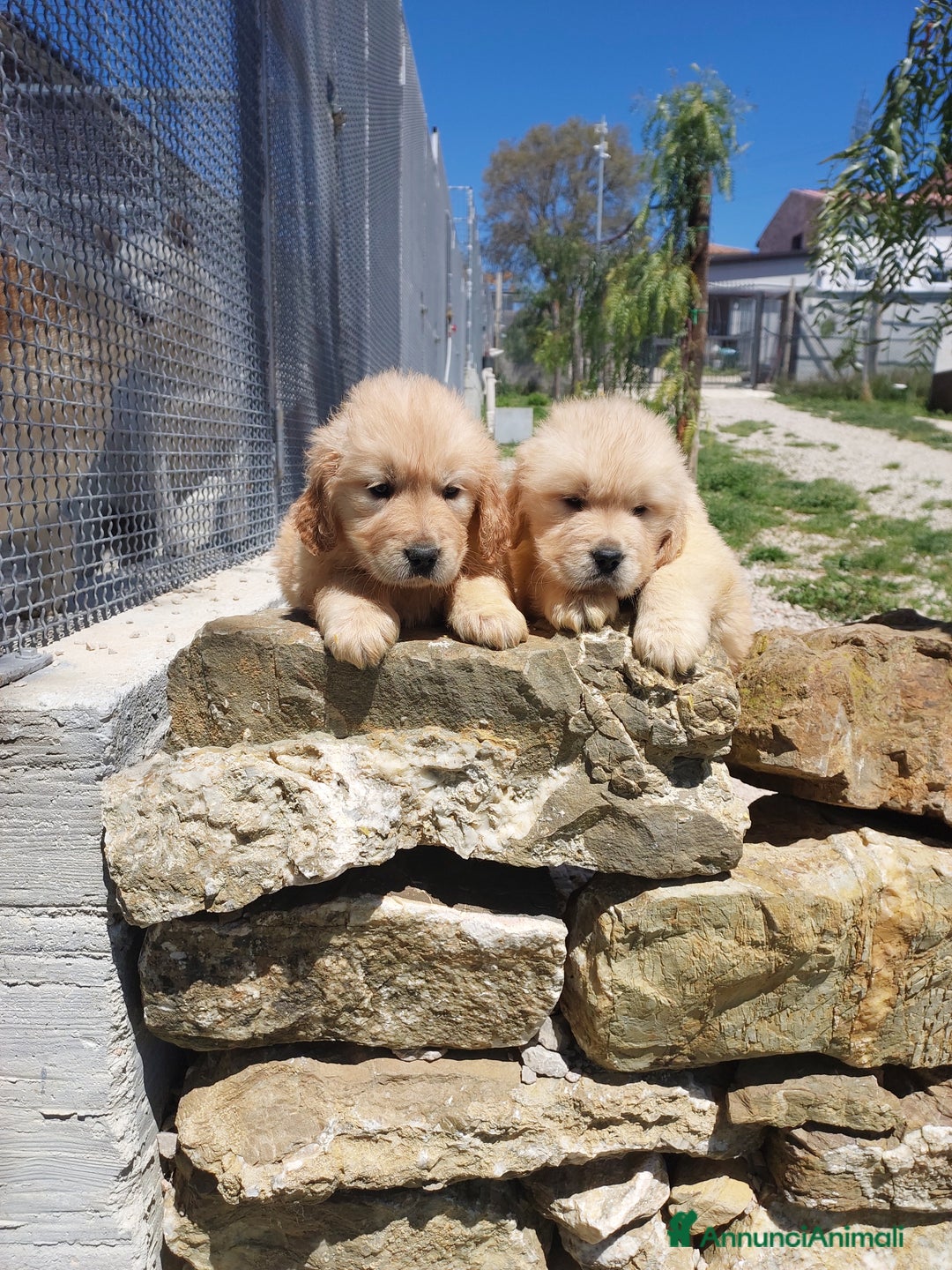 Immagine della galleria {{count}}