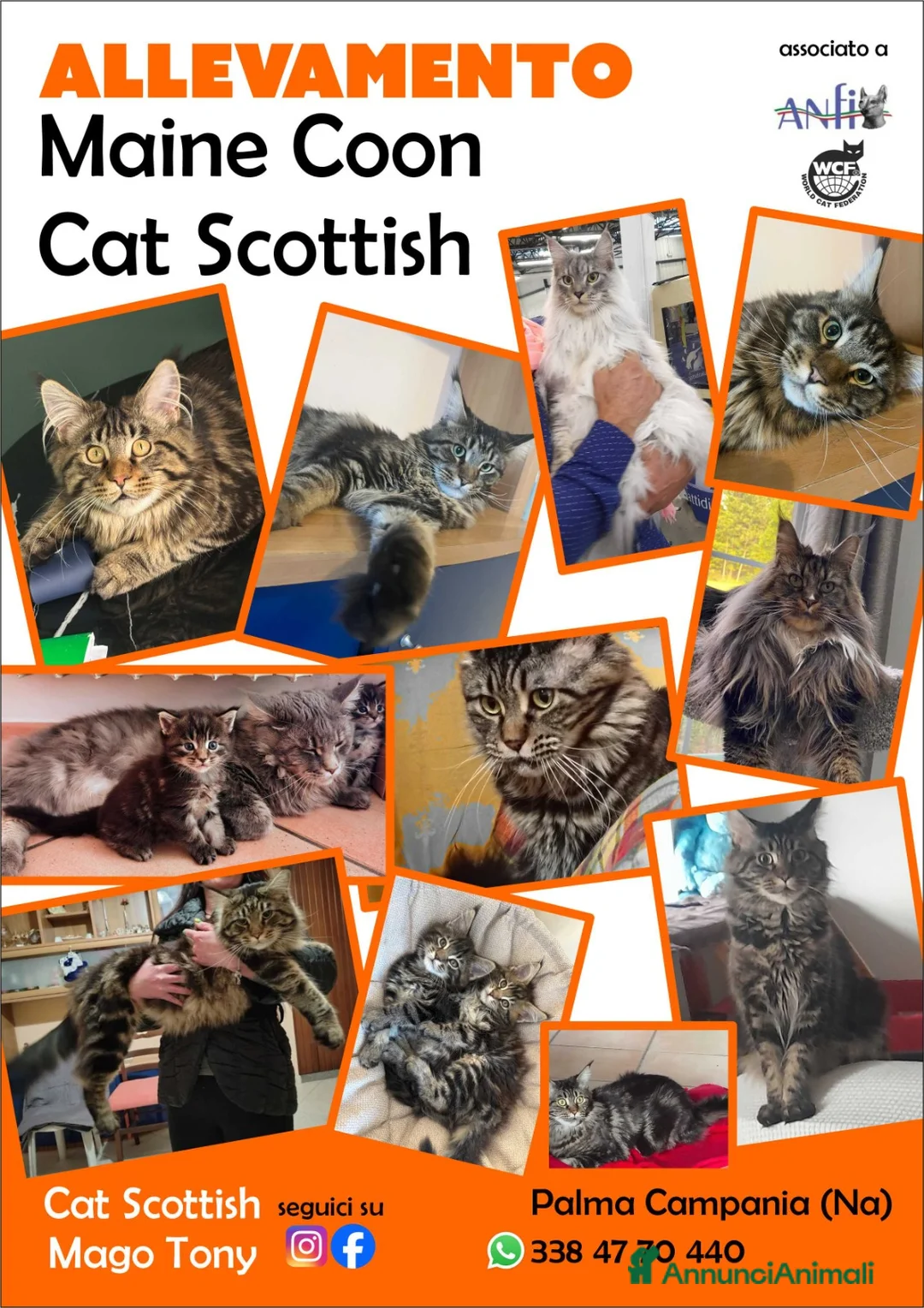 Immagine della galleria {{count}}