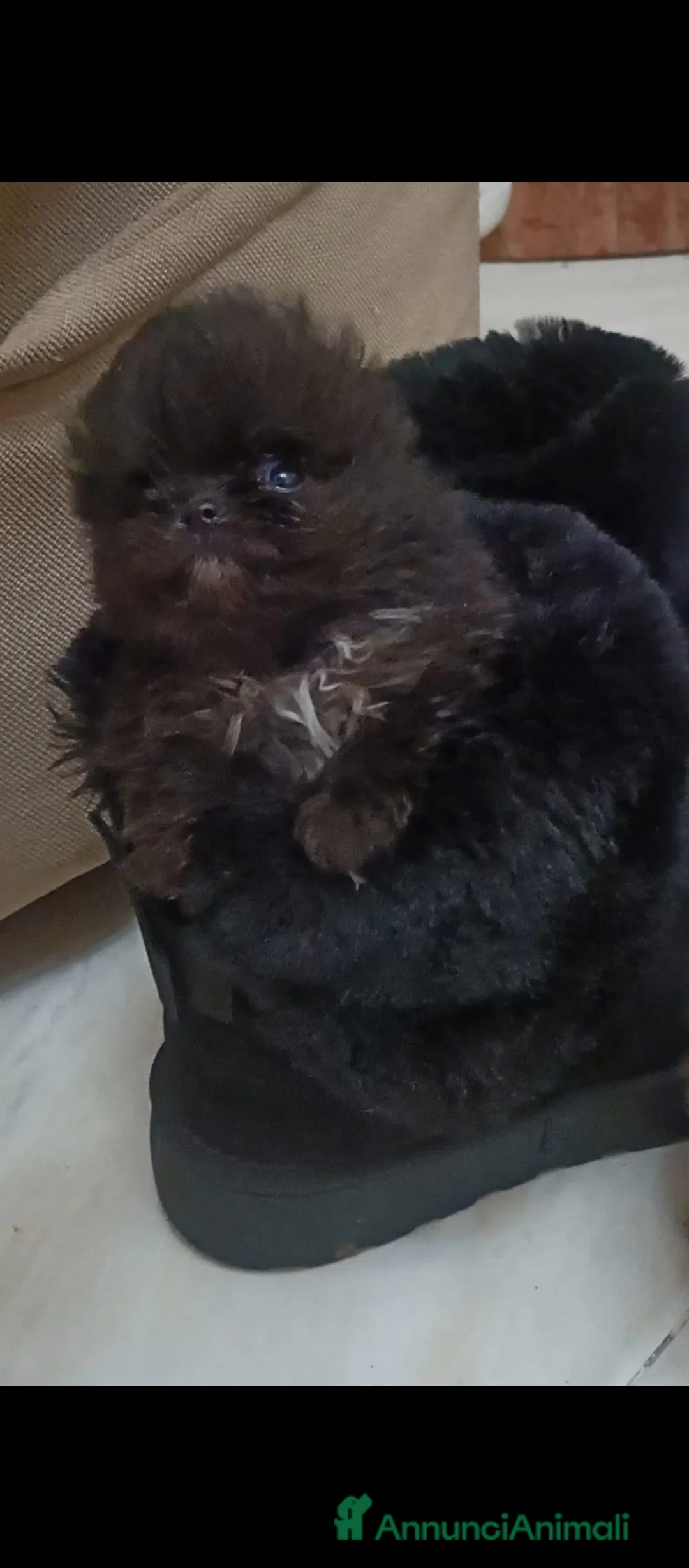 Immagine della galleria {{count}}