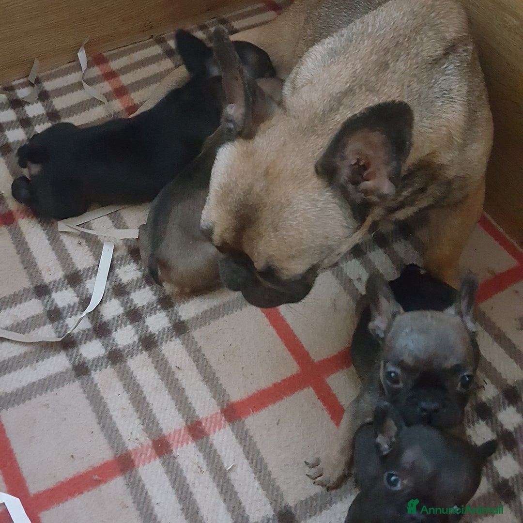 Immagine della galleria {{count}}