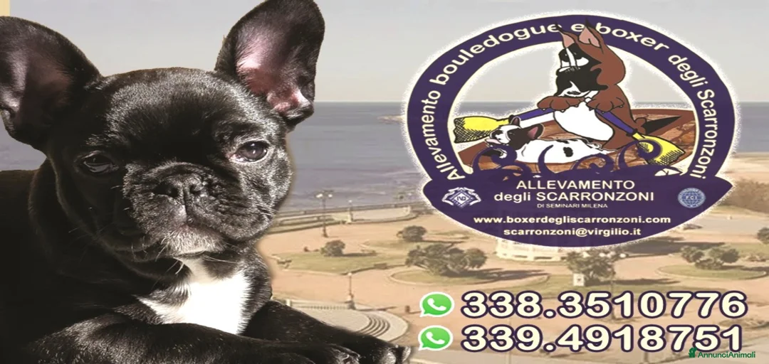 Immagine della galleria {{count}}