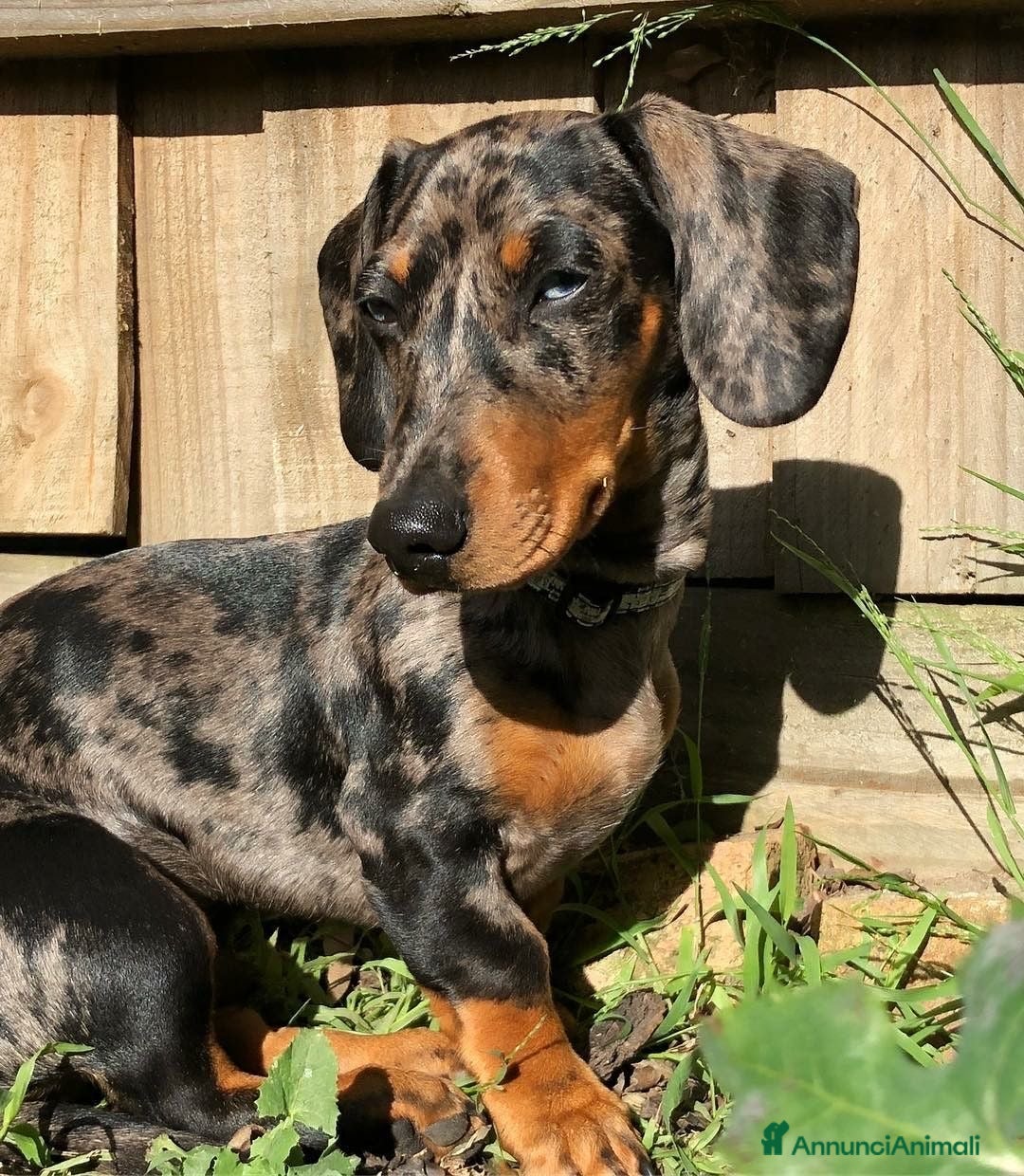 Immagine della galleria {{count}}