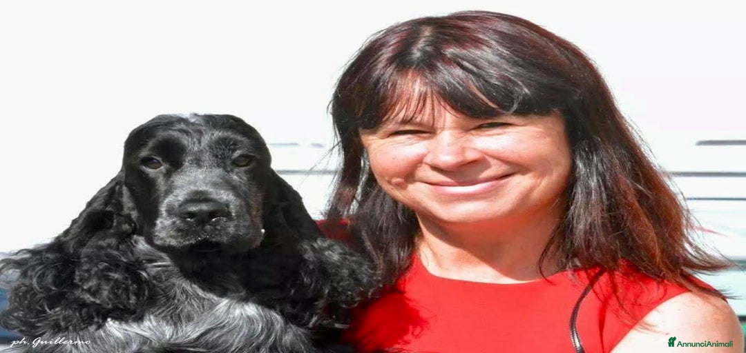 Immagine della galleria {{count}}