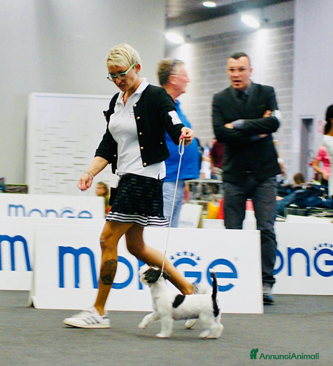 Immagine della galleria {{count}}