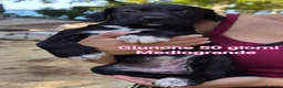 Meticcio cani in regalo: TROPPI CUCCIOLI SOLI IN RIFUGIO  a Provincia di Verona - Annuncio 6