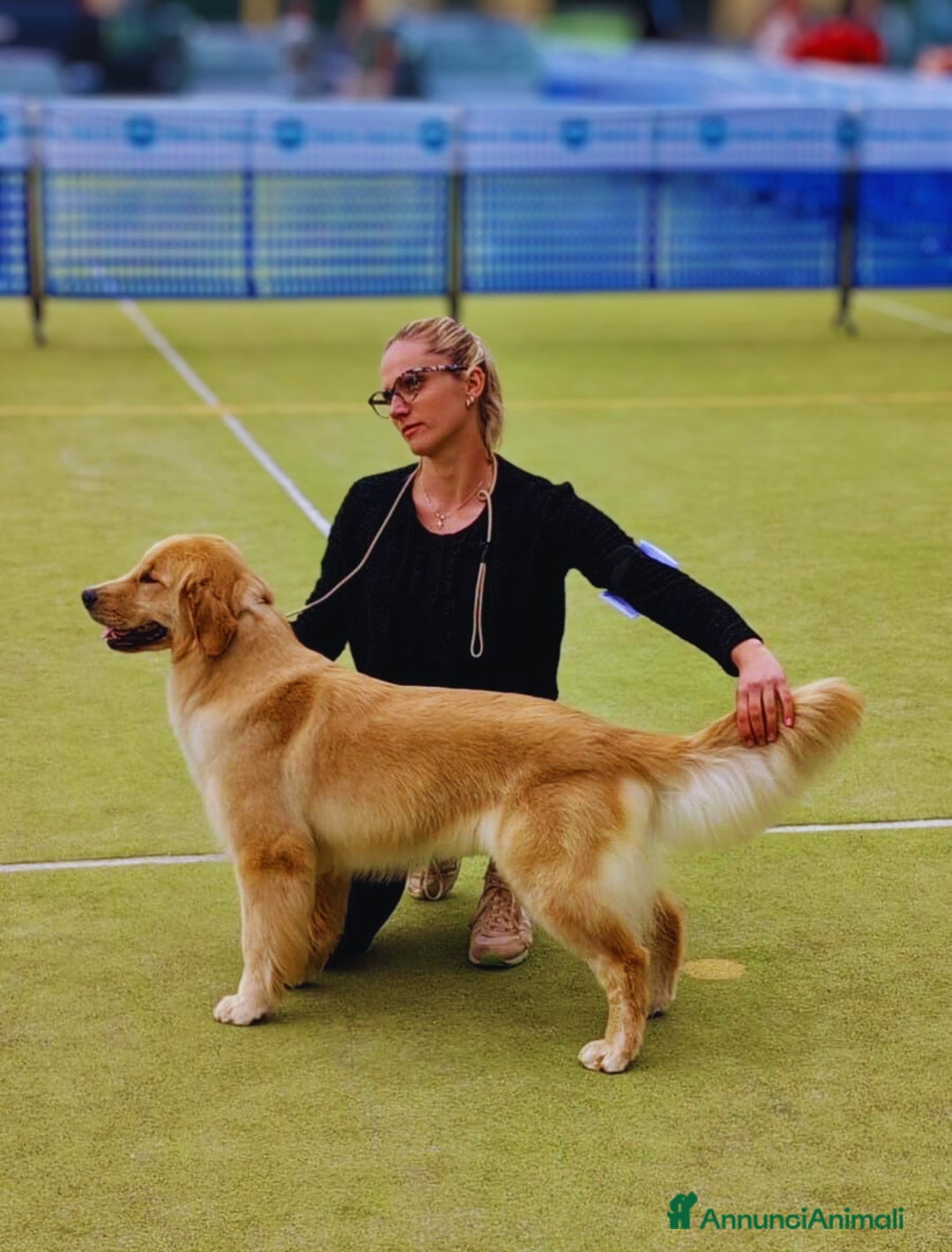 Immagine della galleria {{count}}