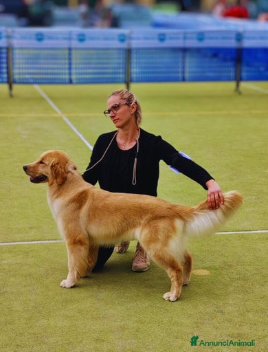 Immagine della galleria {{count}}