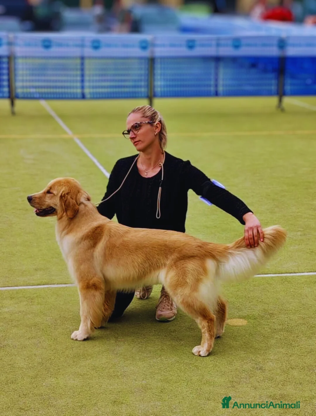 Immagine della galleria {{count}}