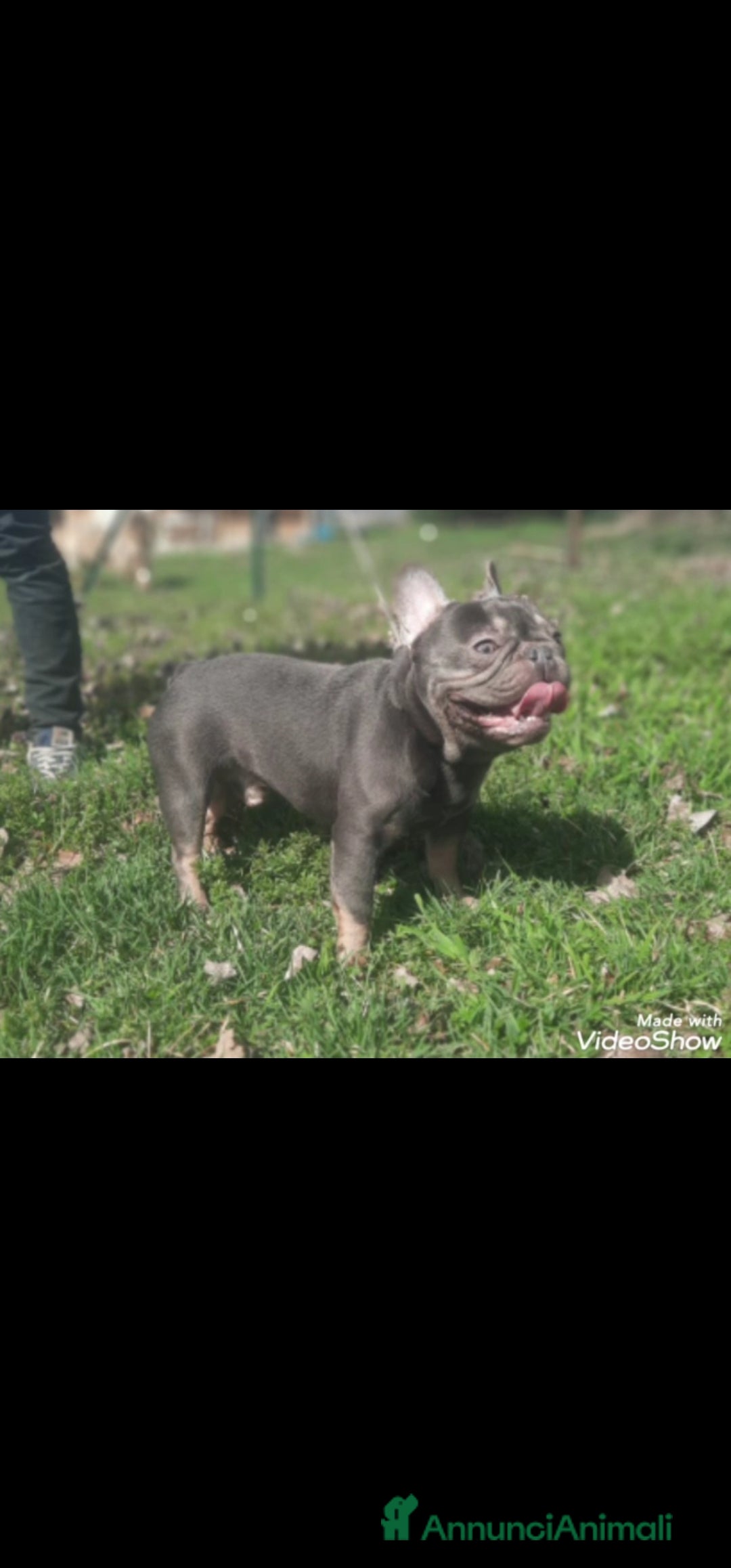 Immagine della galleria {{count}}