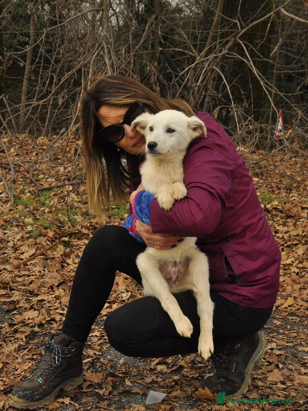 Altre razze cani in regalo: RINO  - Annuncio 2