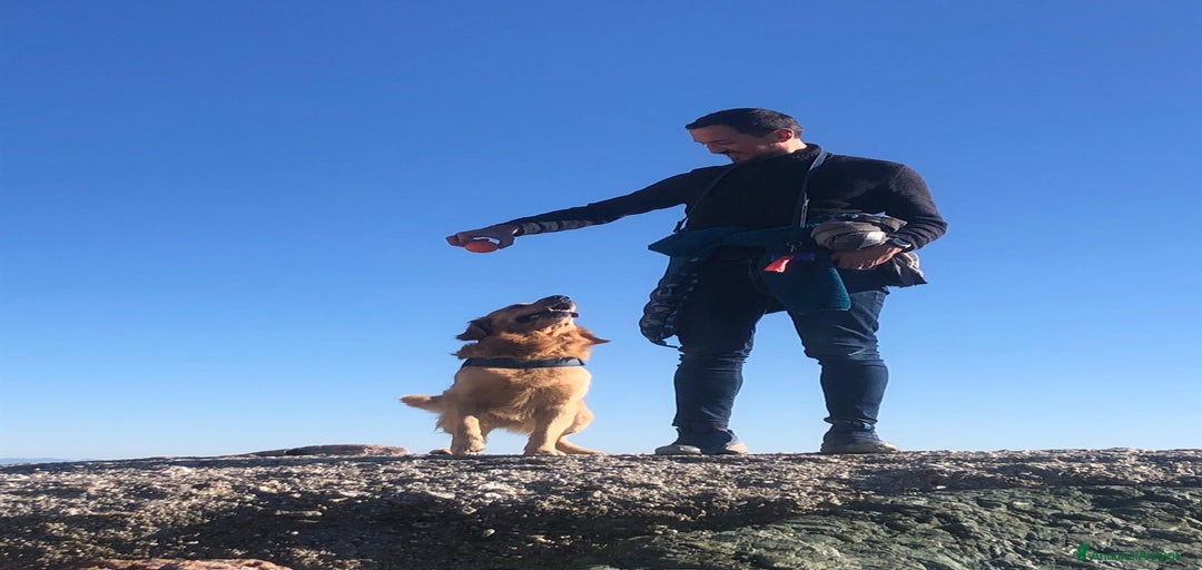 Immagine della galleria {{count}}