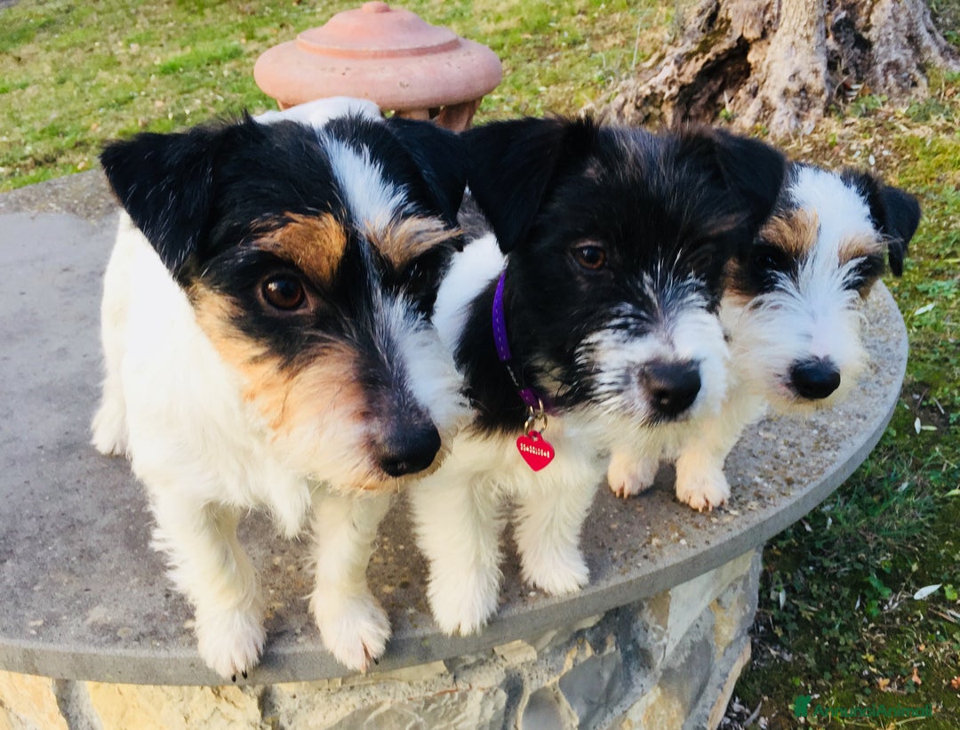 Immagine della galleria {{count}}