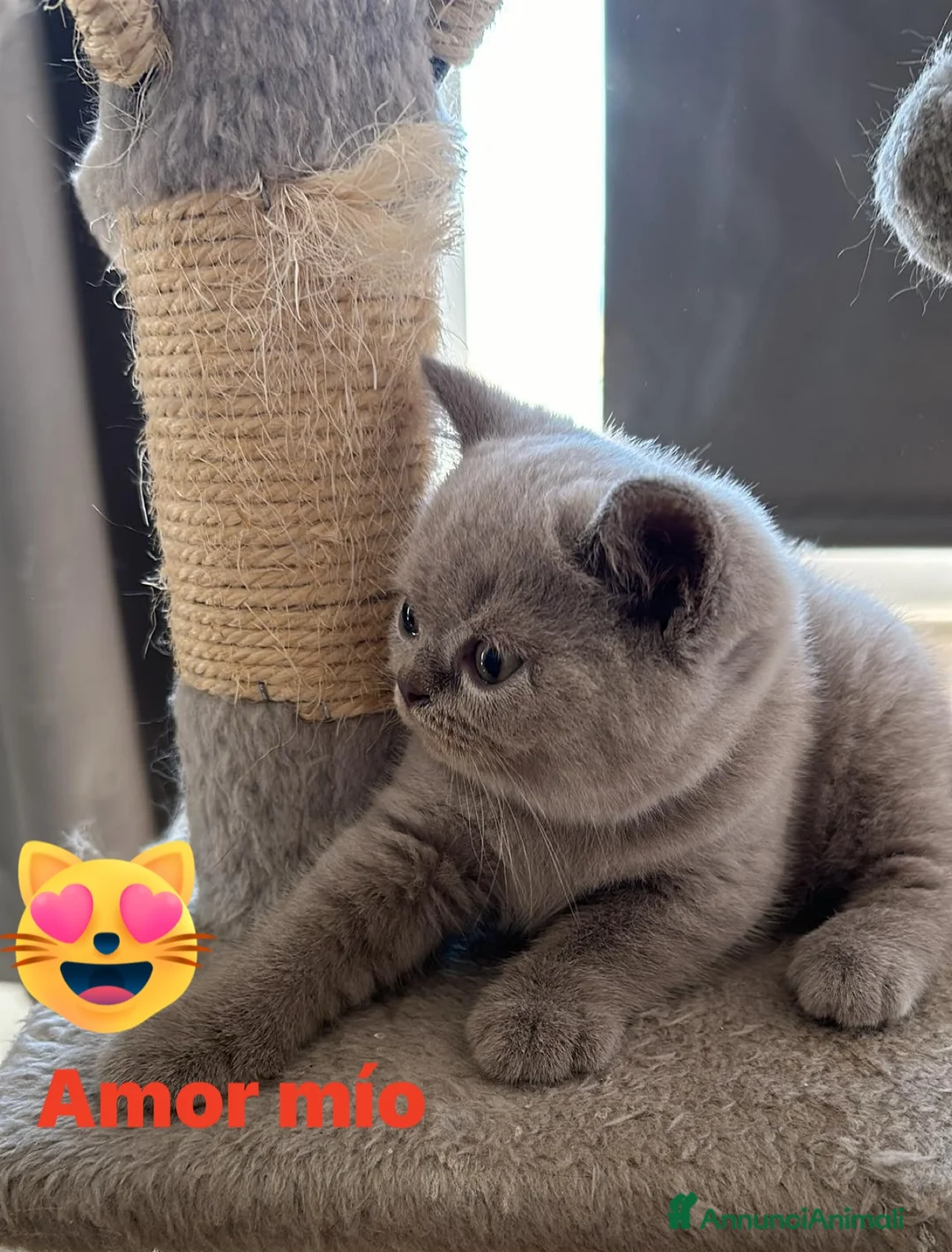 Immagine della galleria {{count}}