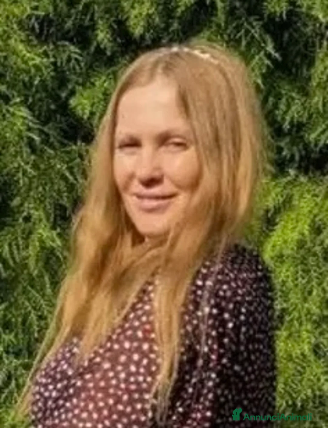 Immagine della galleria {{count}}