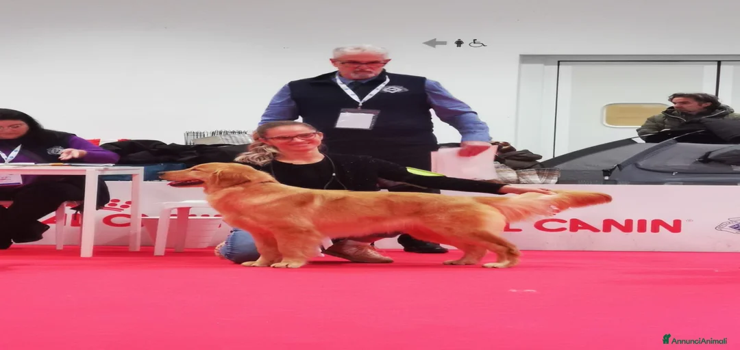 Immagine della galleria {{count}}