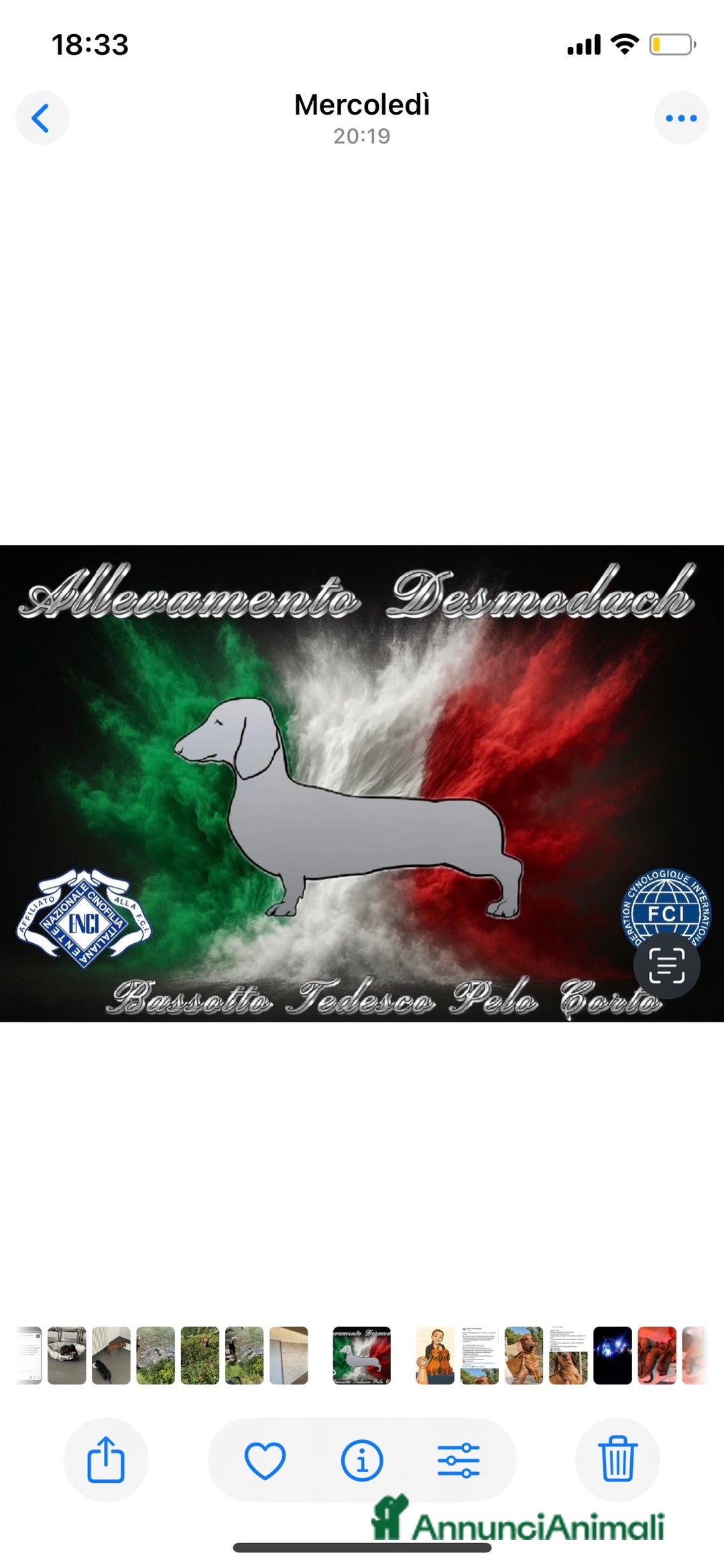 Immagine della galleria {{count}}